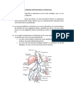 Anastomosis Portosistemica o Portocava