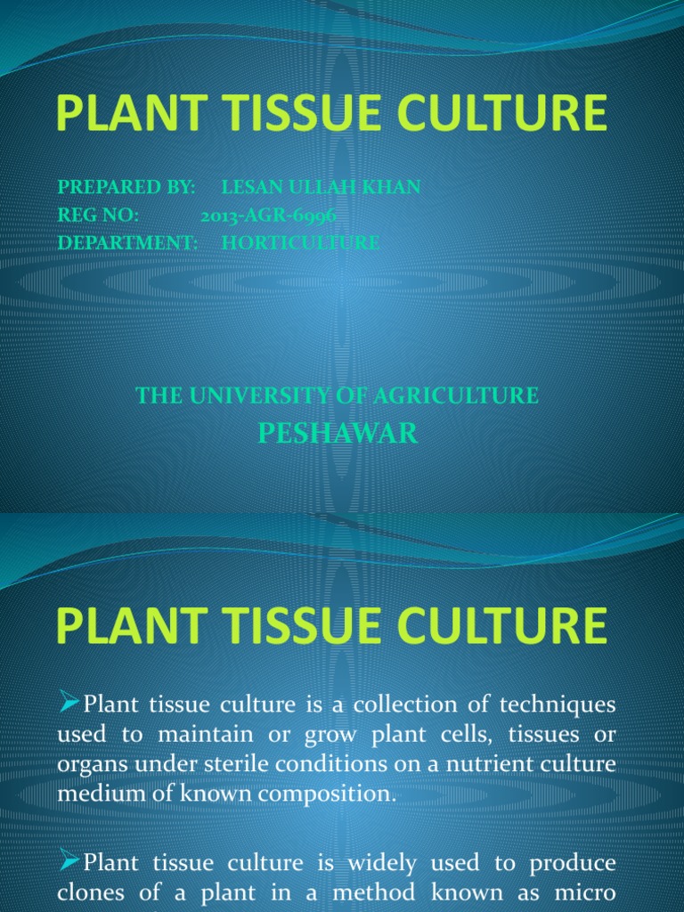 Overview of Plant Tissue Culture Techniques | PDF | Plant Breeding ...