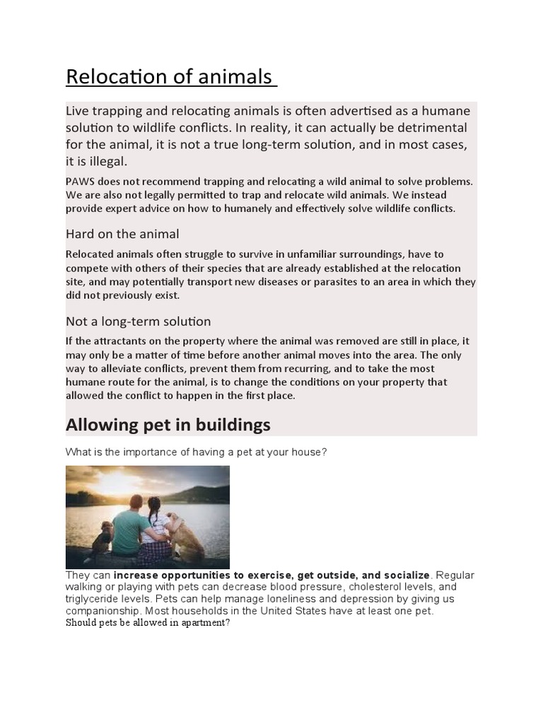 Dangers of Animal Relocation Practices | PDF | Pet | Dogs