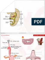 RM 2023 F1 - Base Gastrointestinal