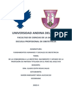 Articulo de Investigación - Obstetricia