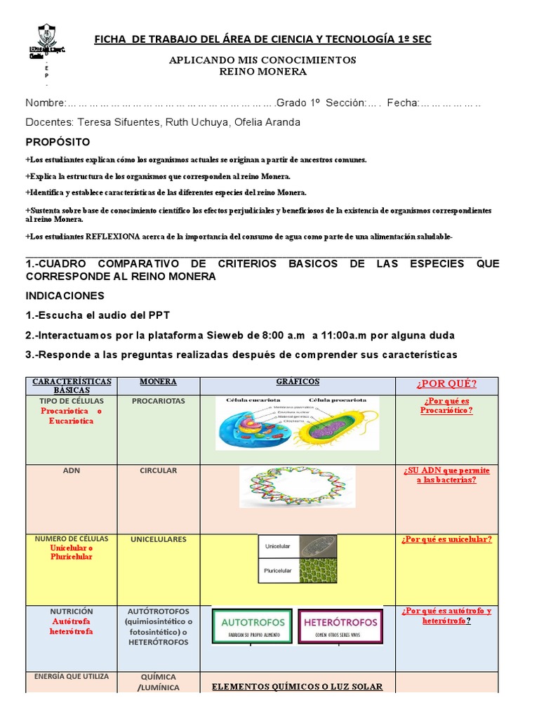 Ficha Reino Monera 1ro | PDF | Las bacterias | Biología Celular)