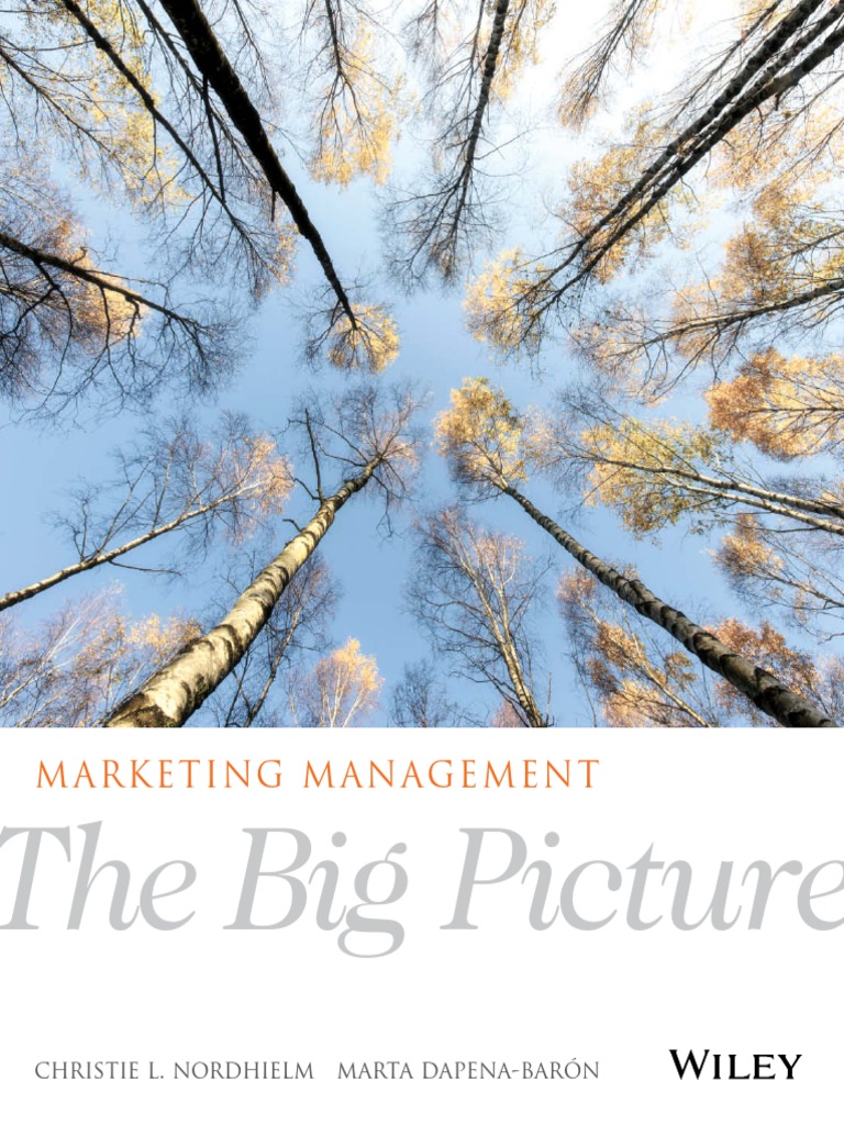 Marketing Management The BigPicture by Christie L. Nord | PDF