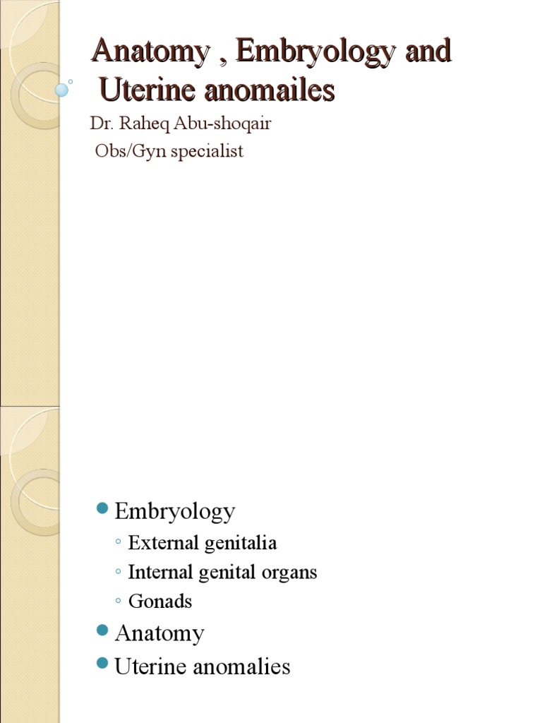 anatomy-embryology-and-uterine-anomailes-pdf-labia-clitoris