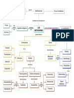 Mapa_conceptual_mutaciones