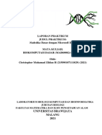 2_Statistika Dasar dengan Microsoft Excel_Christopher Muhamad Zildan Holliday_215090107111029_A