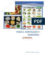 Hortalizas y Verduras - La Patata