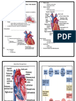 Lesson 5 Heart