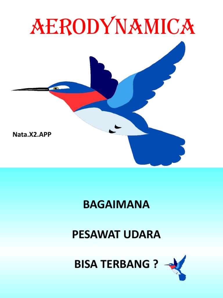 Aerodinamika Pesawat Udara | PDF