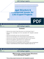 6 - Legal Structure & Commercial Issues For LNG Export