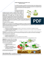 Sistema endocrino en plantas y animales