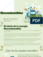 Biocombustibles 2