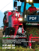 P Barigelli CBRP