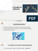 Bases moleculares da hereditariedade: cromossomos, divisão celular, meiose e genes