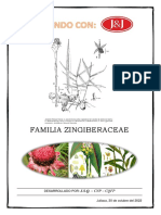 Familia Zingiberaceae - Farmacobotanica