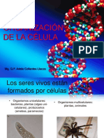 Clase 2 Organización Celular y Leyes de La Termodinámica en Los Seres Vivos