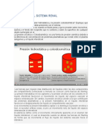 FISIOLOGÍA DEL SISTEMA RENAL Clase Invertida CJMM