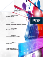 Guia5 Mat4 PDF