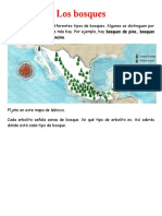 Los Bosques en México