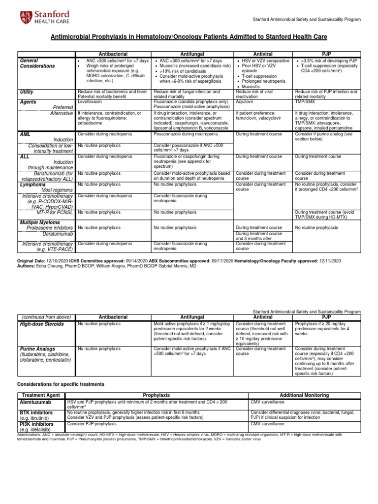 The Definitive Guide To 2025 Heme Onc Spreadsheet Tools For Optimal Patient Care - nv7a3v1