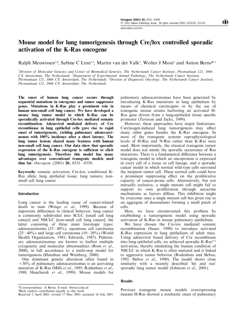 2001 - Mouse Model For Lung Tumorigenesis Through Cre Lox Controlled ...