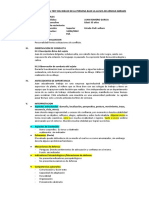 MODELO DE INFORME - DEL - TDPBLL Caso Juan