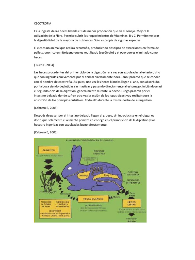 CECOTROFIA