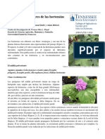 Foliar Diseases of Hydrangea Enfermedades Foliares de Las Hortensias