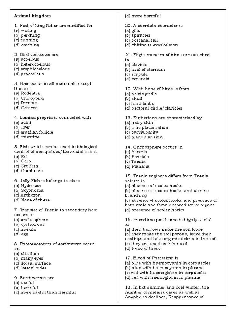 Animal Kingdom PDF Invertebrate Sponge