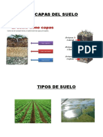 Capas Del Suelo