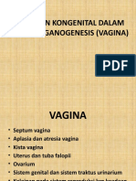 Kel Sist Reproduksi Vagina III