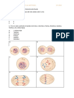 Mitosis 3 Eso