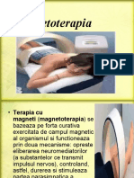 Magnetoterapia