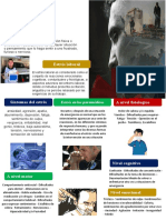 Infografia 3