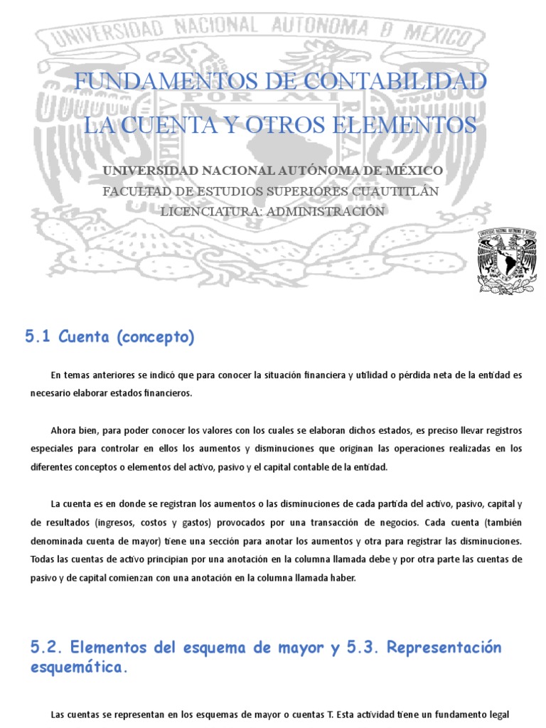 Fundamentos De La Contabilidad Elementos Básicos De Las Cuentas Y Su
