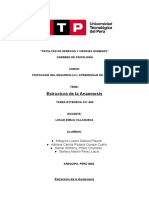 Estructura Anamnesis Psicología