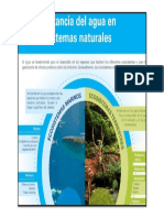 Infografia Ecosistemas Naturales