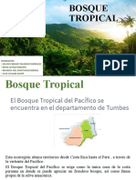 Bosque Tropical del Pacífico Peruano