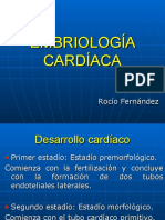 Embriología cardíaca: desarrollo del corazón humano