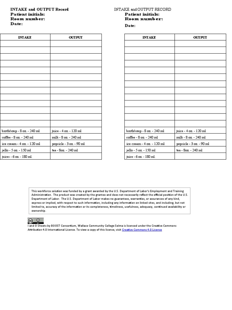 Intake and Output Record Template | PDF