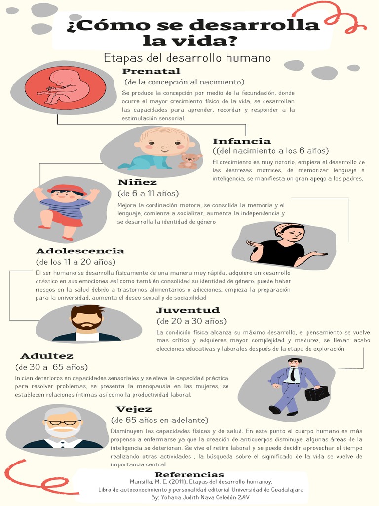 Etapas del Desarrollo Humano | PDF | Adultos | Ciencias del comportamiento