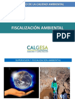Fiscalizacion Ambiental - Calgesa