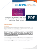 Programa General Curso Paquete AUDIT DIT 2020-08-04