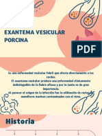 Exantema Vesicular Porcina