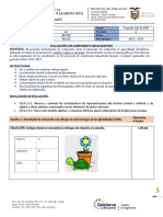 Examen Quimestral - Eca