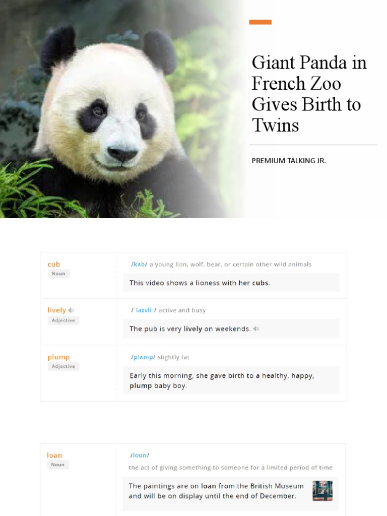 Giant Panda in French Zoo Gives Birth To PDF