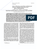 Rapid Identification of Reaction-Amplified Ribosomal Spacer Polymorphisms