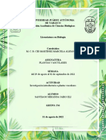 Sistema vascular plantas transporta nutrientes