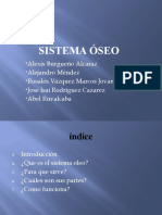 Sistema Óseo