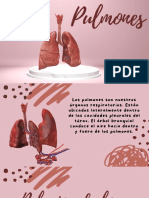 Actividad Pulmones